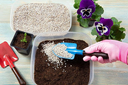 Organic Perlite for Plants, Horticultural Perlite Bulk, Soil Amendment for Enhanced Drainage and Plant Root Growth, Ideal for Potting Mixes (2 Quart)