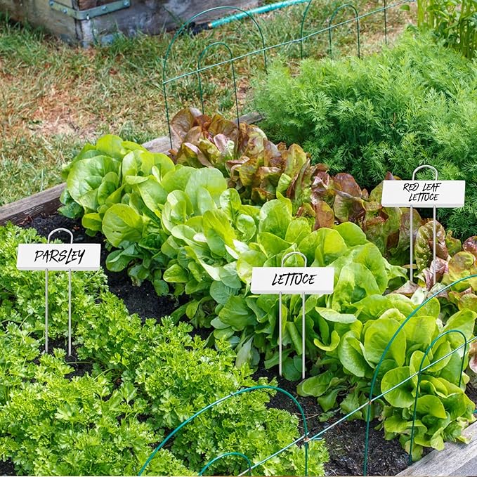 Foraineam 30 Pack Metal Plant Labels Plant Tags Weatherproof Planting Seedling Stake Signs Nursery Tags Large Iron Garden Markers