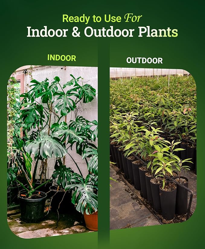 FoxFarm Happy Frog Potting Soil - Ready-to-Use Amended Container Blend with Soil Microbes, Earthworm Castings, Bat Guano, and Aged Forest Products for Indoor & Outdoor Plants - 12 Quart (Pack of 3)