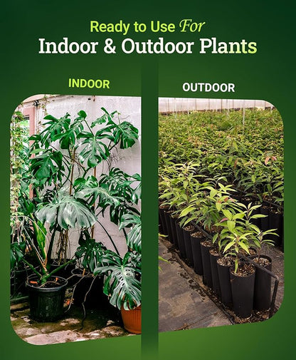 FoxFarm Happy Frog Potting Soil - Ready-to-Use Amended Container Blend with Soil Microbes, Earthworm Castings, Bat Guano, and Aged Forest Products for Indoor & Outdoor Plants - 12 Quart (Pack of 2)