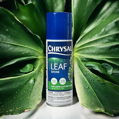 Chrysal LeafShine Spray for Indoor Plants (3oz/1 Pack) Floral, Plants, Foliage, & Flower Care