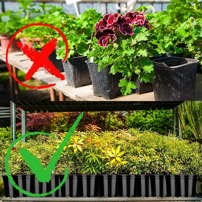 Eaasty 200 Pcs Plastic Plant Pots 3 4 5 6 Inch Plant Nursery Pots with Drainage Holes Black Garden Pots Round Seedling Pots Thickened Soft Plastic Flower Pots for Seedling Cutting Transplanting