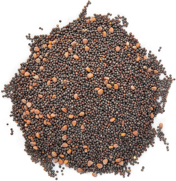 Eastern Sun Asian Microgreen Seeds Mix | Contains Mizuna, Pak Choi, Cabbage, Mustard & Radish Sprout Seeds | Non GMO Heirloom Seeds | Bulk 1 LB Resealable Bag | Rainbow Heirloom Seed Co.