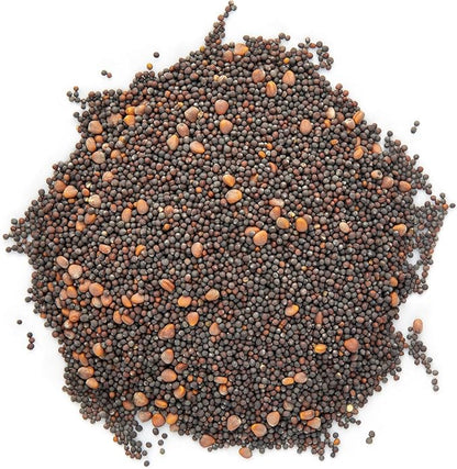 Eastern Sun Asian Microgreen Seeds Mix | Contains Mizuna, Pak Choi, Cabbage, Mustard & Radish Sprout Seeds | Non GMO Heirloom Seeds | Bulk 1 LB Resealable Bag | Rainbow Heirloom Seed Co.