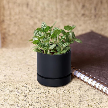 Phoenix Vine 4 Inch Planter Pot with Drainage Hole & Saucer, Deep Water Catch Tray, Straight Cylindrical Round Pot for Plants, Matte Black, Pack of 6, 23-C-R-6