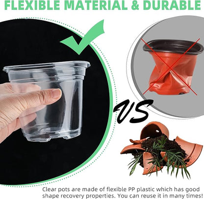 Small Plastic Plant Nursery Pot/Pots (36 Packs 5/4/3.5 Inch Plant Pot and 40 Plant Labels) Seedlings Flower Plant Container (Transparent) Seed Starting Pots Indoor Outdoor