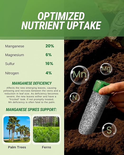 Manganese Palm Tree Fertilizer Spikes, Pack of 40 - Fertilizer Sticks & Plant Food Spikes for Palm Trees & Ferns - Contains Manganese, Sulfur, Nitrogen, Essential Nutrients
