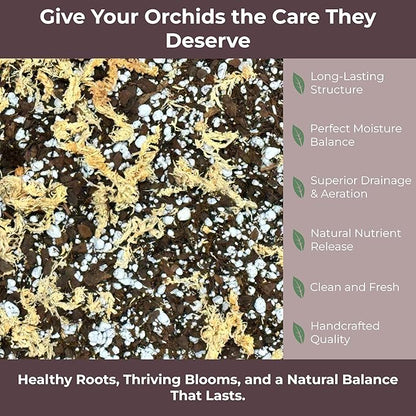 Orchid Potting Mix – Orchid Bark, Sphagnum Moss, Tree Fern & Perlite for Repotting Phalaenopsis Orchids, Indoor Plants, Orchid Soil Medium – Sustrato para Orquídeas (10 Quart)