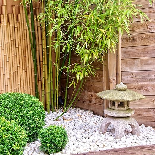 20 lbs White River Rocks for Landscaping, 2-3 inch Large Pebbles for Plants, Decorative Stones for Planters Vase Aquarium and Outdoor Garden Rocks
