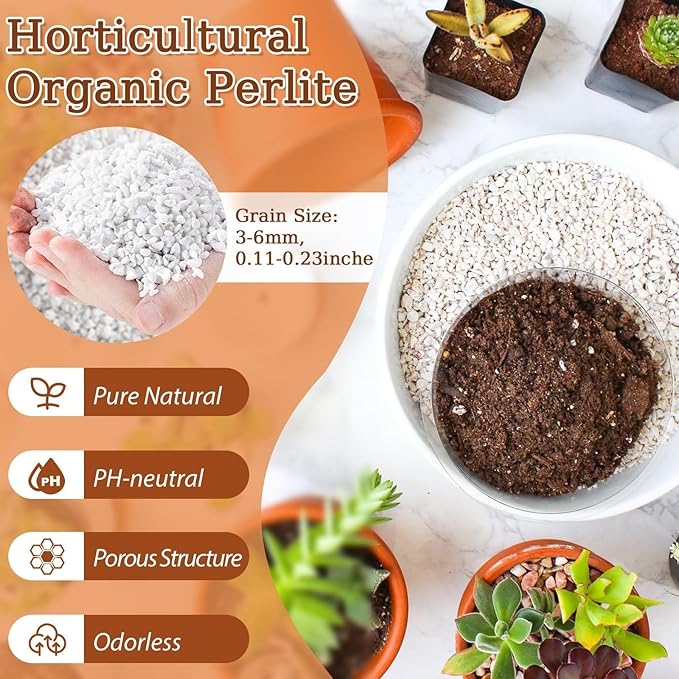 Riare 4 Quarts Organic Perlite for Plants - Horticultural Perlite Soil Amendment for Plants Potting Mix, Natural Chunky Perlite Soil Additive Conditioner Improve Root Growth, Drainage and Ventilation