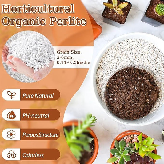 Riare 4 Quarts Organic Perlite for Plants - Horticultural Perlite Soil Amendment for Plants Potting Mix, Natural Chunky Perlite Soil Additive Conditioner Improve Root Growth, Drainage and Ventilation