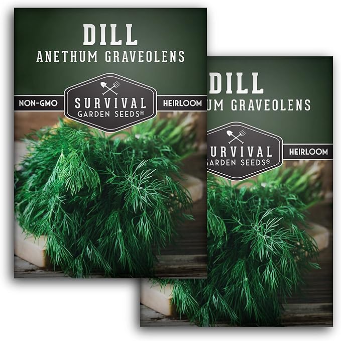 Dill Seeds for Planting – Bouquet Dill Seed to Plant for Pickling & Fresh Cooking, High Germination Non-GMO Heirloom Herb for Outdoor Growing – Survival Garden Seeds (2 Packs)