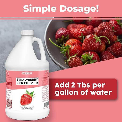 Strawberry Fertilizer – Liquid Strawberry Plant Food for Better Berry Production & Healthy Growth, 1 Gallon