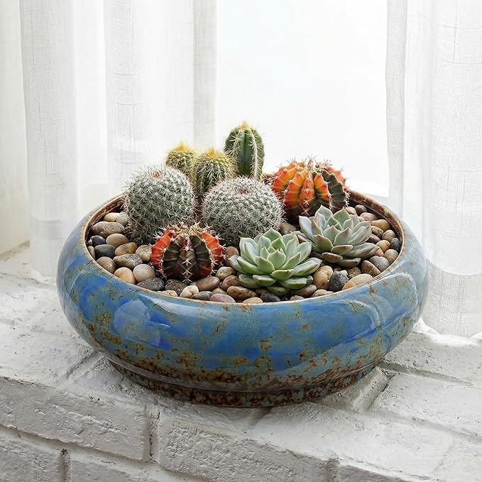 Homoyoyo Ceramic Lotus Bowl Planter Porcelain Cactus Planters for Lotus Seeds Succulents Bonsai Water Lily Arrangement Bonsai Succulents Cactus Without Hole Blue