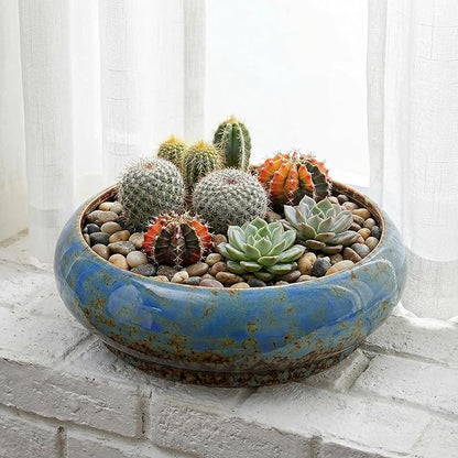 Homoyoyo Ceramic Lotus Bowl Planter Porcelain Cactus Planters for Lotus Seeds Succulents Bonsai Water Lily Arrangement Bonsai Succulents Cactus Without Hole Blue