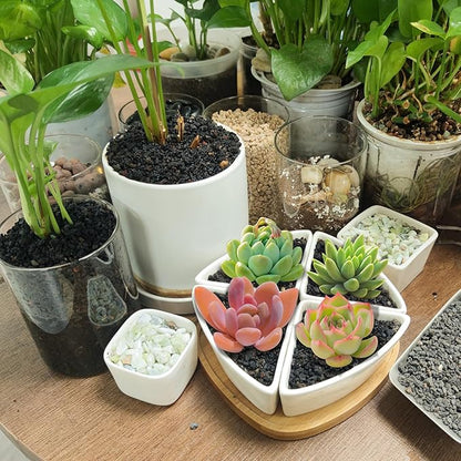 45Lb Horticultural Lava Rock-Lava Rocks for Plants,Succulent Soil Amendment,Decorative Cactus Soil Potting Mix,Volcanic Rock for Aquarium Fairy Gardening Top Dressing Plant Drainage