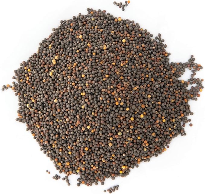 Kale Trio Sprouting & Microgreen Mix | Contains Blue Curled Scotch, Premier & Red Russian Kale Seeds | Heirloom Non-GMO Seeds | Bulk 1 LB Resealable Bag | Rainbow Heirloom Seed Co.