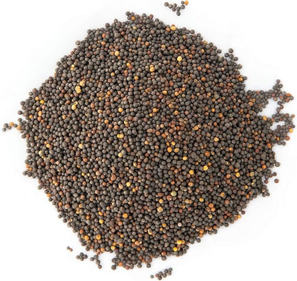 Kale Trio Sprouting & Microgreen Mix | Contains Blue Curled Scotch, Premier & Red Russian Kale Seeds | Heirloom Non-GMO Seeds | Bulk 1 LB Resealable Bag | Rainbow Heirloom Seed Co.