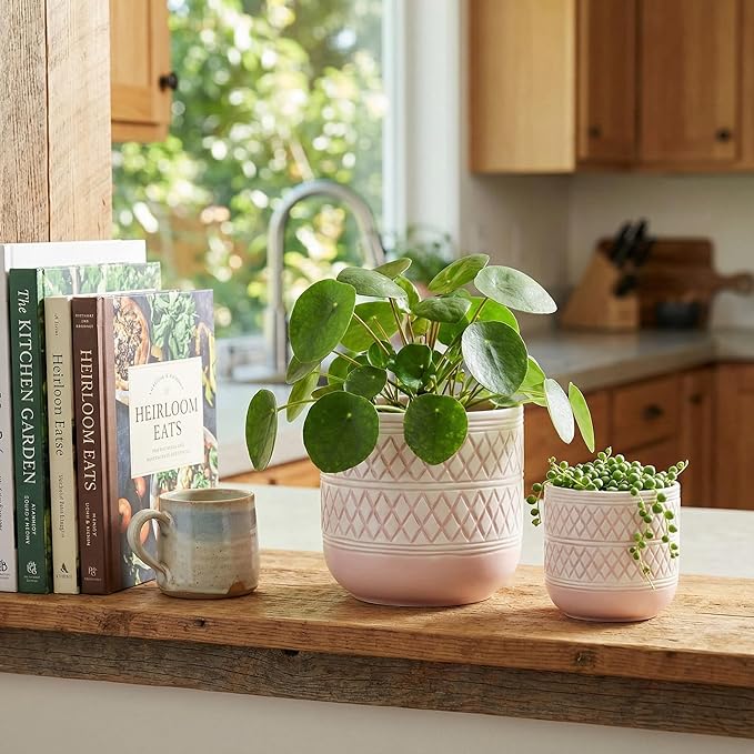 Decorative Ceramic Flower Pots Set of 2 – 6 & 4.7 Inch Indoor Plant Pots, Boho Decorative Pots for Plants, Orchid & Succulent Planters with Drainage