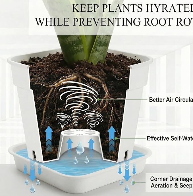 6 Pack 6/8/10 Inch Square Plant Pots with Saucers - 24-Strip Airflow Drainage for Root Health - Heavy Duty 5mm Thick White Plastic Orchid Planters for Indoor Outdoor Flowers, Herbs & Succulents