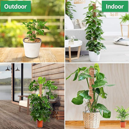 Kikhope Moss Pole Monstera Plants Support,4 Pack 15.7 Inch Coir Totem Poles, Plant Support Stakes, Plant Sticks, Coir Moss Stick for Indoor Potted Plants Train Creeper Plants Grow Upwards