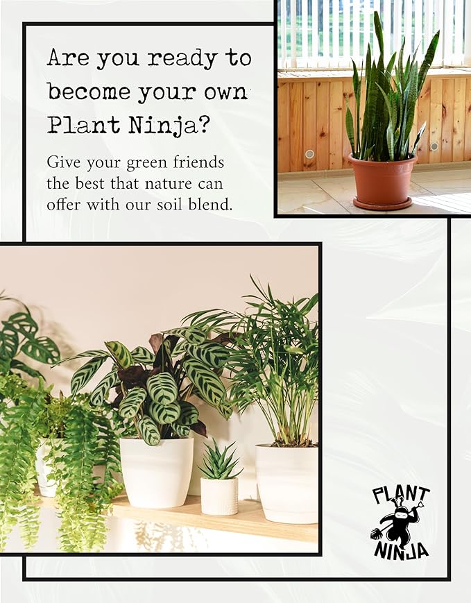 Ultimate Soil Blend - Potting Soil for 8" Pot, Indoor & Outdoor Plants, Gardening Supplies with Perlite