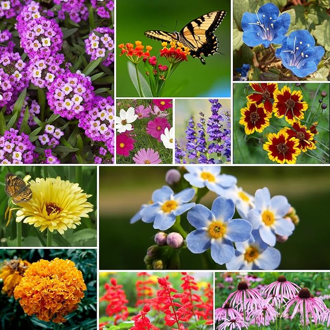 All Perennial Wildflower Seeds Bulk, 1/4 lb, 100,000+ Seeds, 26 Variety Mix with Milkweek, California Blue Bell, Attracts Pollinators, Plant in Spring or Fall, Zones 3, 4, 5, 6, 7, 8, 9, 10