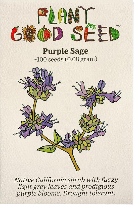 Plant Good Seed Organic San Luis Purple Sage Seeds for Planting: California Native Plant, Aromatic Gray Leaves - 100 Seed Packet