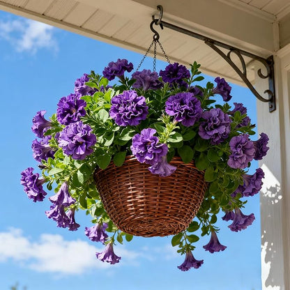 Purple Petunia Flower Seed, 300 Non-GMO Double Petunia Seeds, Annual Petunia Seeds for Planting Home Garden Outdoor