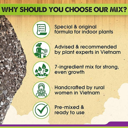 DUSPRO Recycle Pre-Mixed House Plant Potting Mix 7in1 with Potting Soil Indoor Plants, Tropical Indoor Potting Soil with Pine Bark, Pumice, Coco Coir, Perlite, Worm Castings, Gypsum, Peat Moss 20QRT
