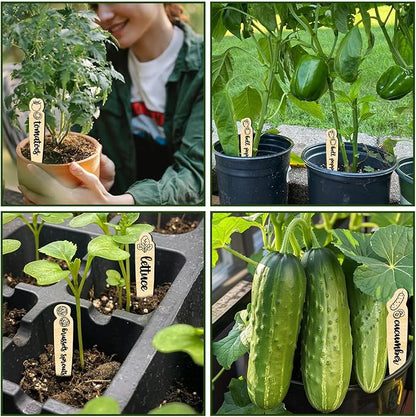 arricraft 15 Pcs Wood Plant Labels, 15 Styles Garden Labels Sign with Vegetable Patterns Vegetable Name Tags Wooden Markers for Indoor and Outdoor Plants Vegetables Seed Potting 6×1inch