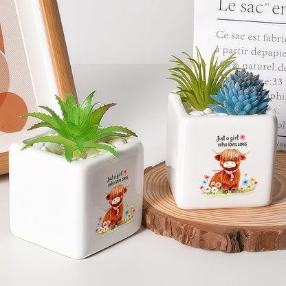 Highland Cow Succulent Planter Flower Plant Pot Small, Gifts for Women Teens Girls Kids, Cow Lovers Themed Stuff Accessories Things Decor Merch, Home Office Table Desk Decoration!