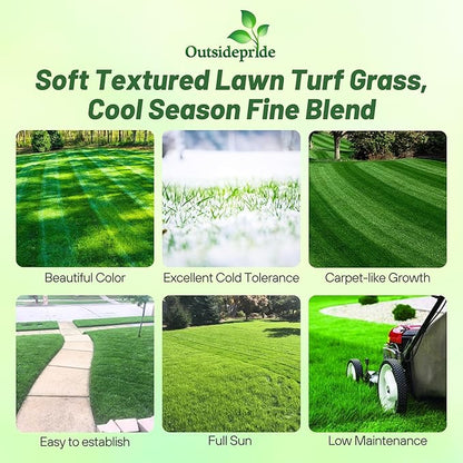 Outsidepride Midnight Kentucky Bluegrass Seed - 25 Lbs. Cold & Drought Tolerant, Sun-Loving Lawn Grass Seed, w/High Traffic Tolerance & Deep Root System, OptiGrowth Coated for Better Establishment