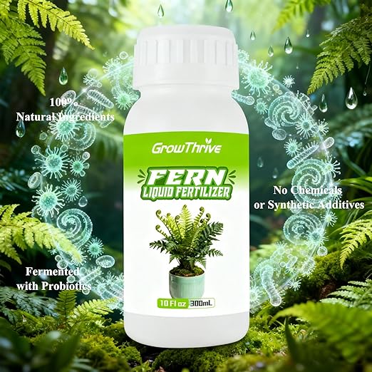 Fern Liquid Fertilizer – Natural Organic Plant Food for Ferns, Indoor & Outdoor Use, 300ml Concentrated Probiotic Formula for Greener Leaves, Strong Roots & Healthy Growth