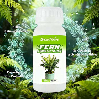 Fern Liquid Fertilizer – Natural Organic Plant Food for Ferns, Indoor & Outdoor Use, 300ml Concentrated Probiotic Formula for Greener Leaves, Strong Roots & Healthy Growth