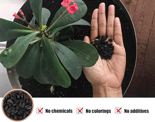 Horticultural Charcoal for Potted Plants 2 QT, Hardwood Charcoal for Potting Soil Amendment, Orchids, Terrariums, and Gardening