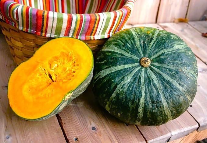 TomorrowSeeds - Kabocha Squash Seeds - 20+ Count & 20+ Japanese Red Kuri Squash - for 2026 Planting Japanese Pumpkin Green Hokkaido Ebisu Asian Tetsukabuto Buttercup Gourd Garden Vegetable