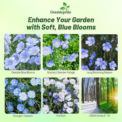 Outsidepride Blue Flax Seeds - 5 lbs Perennial Flower Seeds for Planting, Self-Seeding, Drought-Tolerant w/Compact Growth, Ideal for Small Gardens, Meadows, Borders, or Mass Plantings