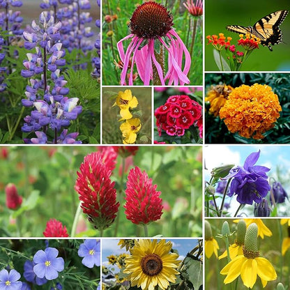 Wildflower Seeds Bulk, 1/4 lb, 100,000+ Seeds, 26 Variety Mix with Zinnia, Milkweek Seed, Attracts Pollinators, Plant in Spring or Fall, Zones 3, 4, 5, 6, 7, 8, 9, 10