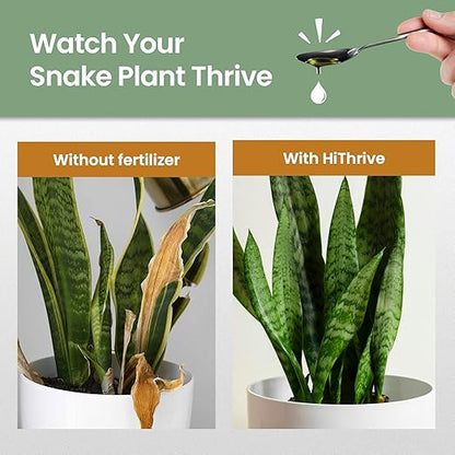 32oz Snake Plant Fertilizer for Snake Plant Live - Makes 192 Gallons of Fertilizer for Indoor Plants, Ideal for Healthy Growth, Strong Leaves, and Vibrant Color - Rich in Macro & Micronutrients