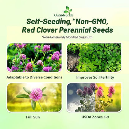 Outsidepride Perennial Red Clover Seeds - 5 lbs. Self-Seeding, Nitrocoated, Inoculated Clover Seeds for Lawn, Yard, Forage, Pasture, Hay, Nitrogen Fixation, Soil Improvement & Crop Rotation Programs