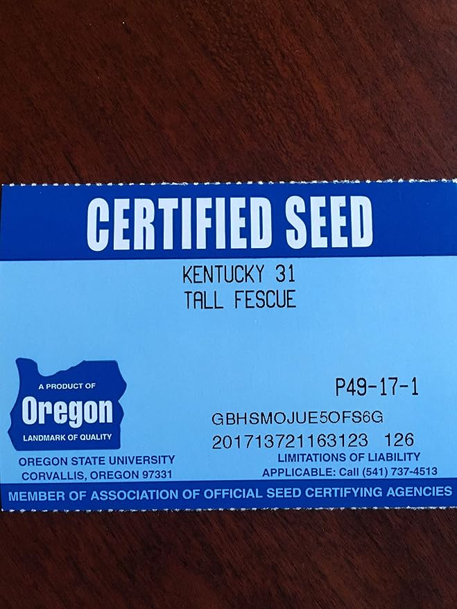 Kentucky 31 K31 Tall Fescue Grass Seed by Eretz - Choose Size! State Certified, No fillers, No Weed or Other Crop Seeds (25lbs)