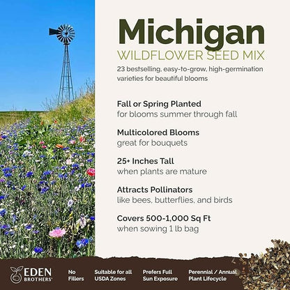 Eden Brothers Michigan Wildflower Mixed Seeds for Planting, 1 lb, 480,000+ Seeds with Cornflower, Sweet William, Cosmos | Attracts Pollinators, Plant in Spring or Fall, Zones 3, 4, 5, 6, 7, 8, 9, 10