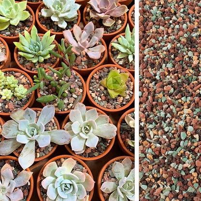 45lb Mix Lava Rocks for Plants in Door -Gravel Pebbles for Bonsai Succulent Cactus Potting Soil and Vase Fillers, Fairy Gardening,Top Dressing