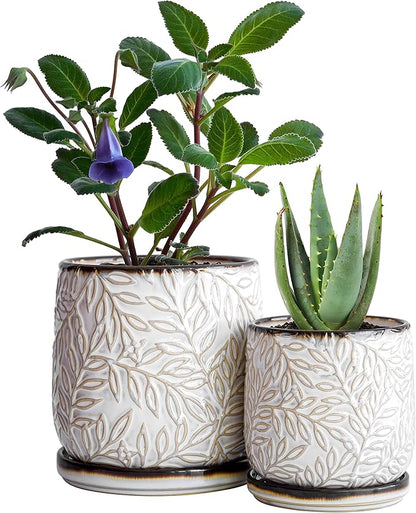 D'vine Dev Embossed Leaves Design 4 Inch & 6 Inch Stoneware Planter Pot with Drainage Hole and Saucer, Smoked White, 27-B-U-1