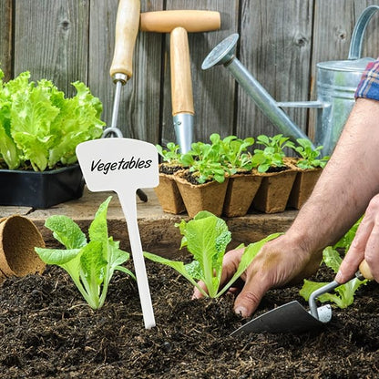 KINGLAKE GARDEN Plastic Plant Labels 10.4 inch 30 Pack Outdoor Garden Tags Thick Garden Labels,Waterproof Sturdy Nursery Markers,Strong Large Plant Markers for Vegetable Plants,Fruits,Flowers