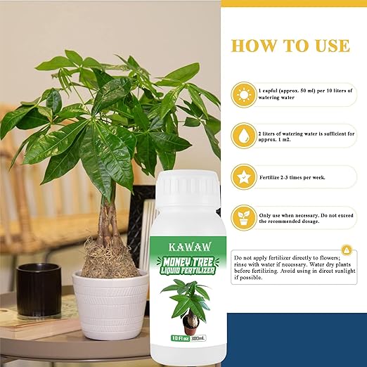 Money Tree Fertilizer for Money Trees and All Pachira Plants,Microbial Organic Liquid Plant Food for Houseplants’ Healthy Growth & Glossy Leaves 10 oz (300mL)