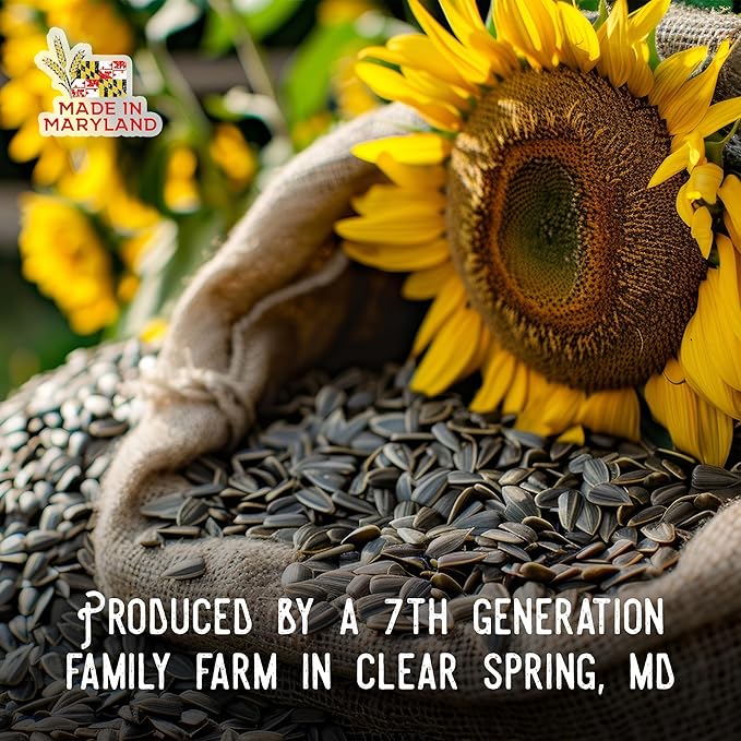 Ernst Grain & Livestock Black Oil Sunflower Seeds - Birdseed for Outside Feeders Wild Bird Food - Ideal Bird Seed for Cardinals, Woodpeckers and More - Non-GMO, 50lb