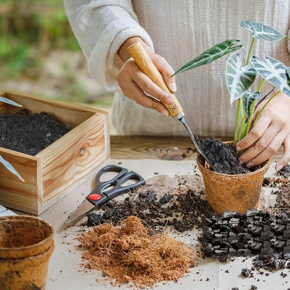 Horticultural Charcoal 2qt for Plants, Actived Charcoal Terrarium Supplies, Suitable for Indoor Plants, Succulent, Orchid, Cactus, Bonsai