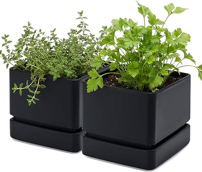 D'vine Dev 6 Inch Herb Planter Pot, Plastic Planter with Drainage Holes and Saucer, Modern Decorative Gardening Pot for Indoor Plants, Flowers, Herbs, Succulents, Black, Set of 2, 76-Y-B2-2